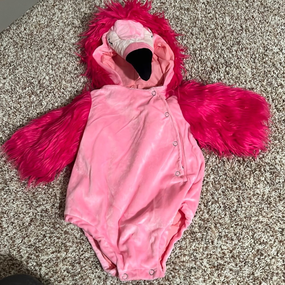 Flamingo Pottery Barn Baby Girl Halloween Costume